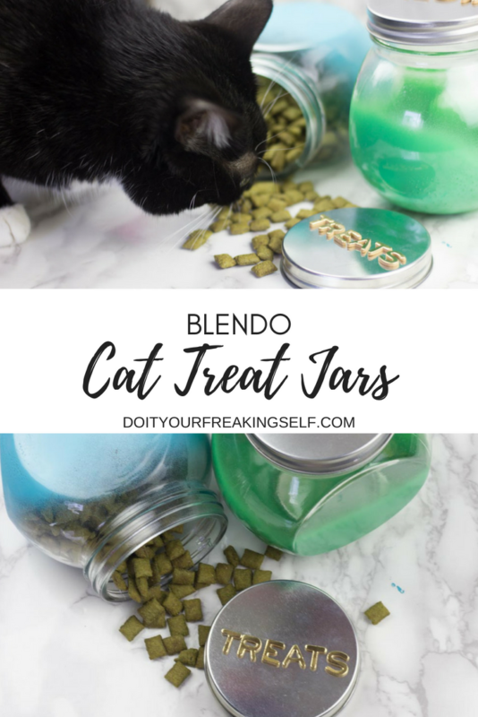 diy cat treat jars -