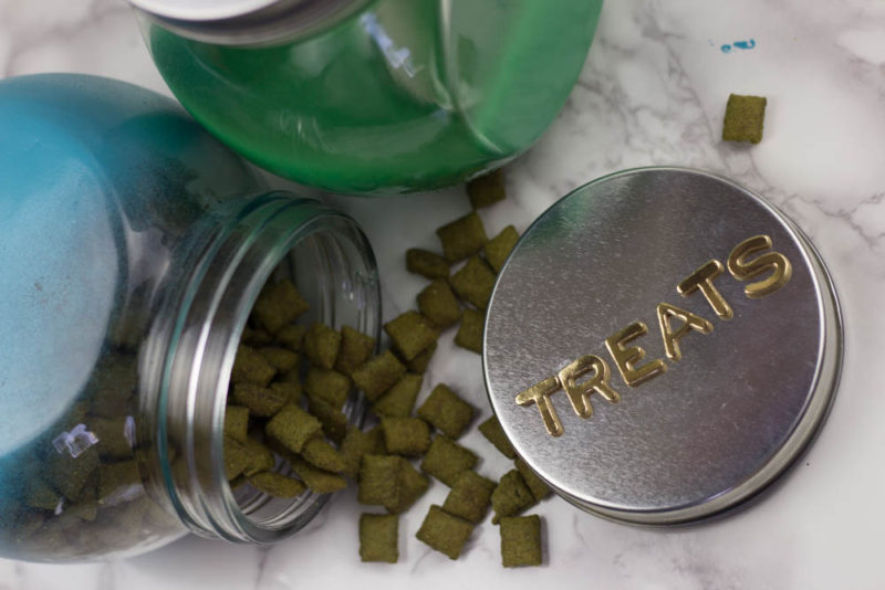 close up cat treats jar